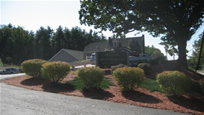 Pelham 2